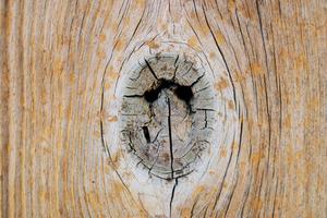 The Best Wood Filler for Exterior Siding