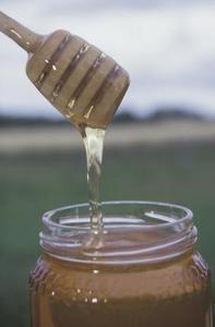 Hvordan til at dehydrere Honning
