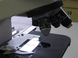Hvordan forbereder en sammensat mikroskop slide