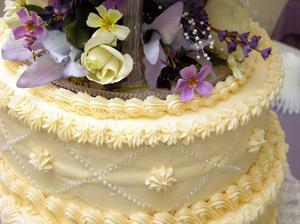 Wilton Cake Decorating Tips