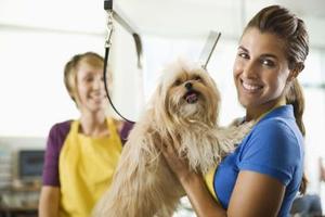 The Best Grooming Tools for Langhårede hunde