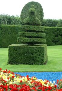 Hvordan man gør en Flettet Topiary