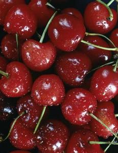 Typer af store Cherries