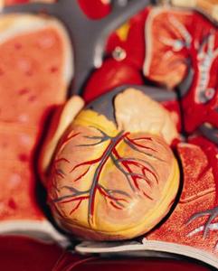 Hvordan man kan reducere dine chancer for et hjerteanfald