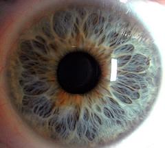 Hvordan til at spotte symptomer på optisk neuritis